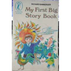 My First Big Story Book-İngilizce Kitap