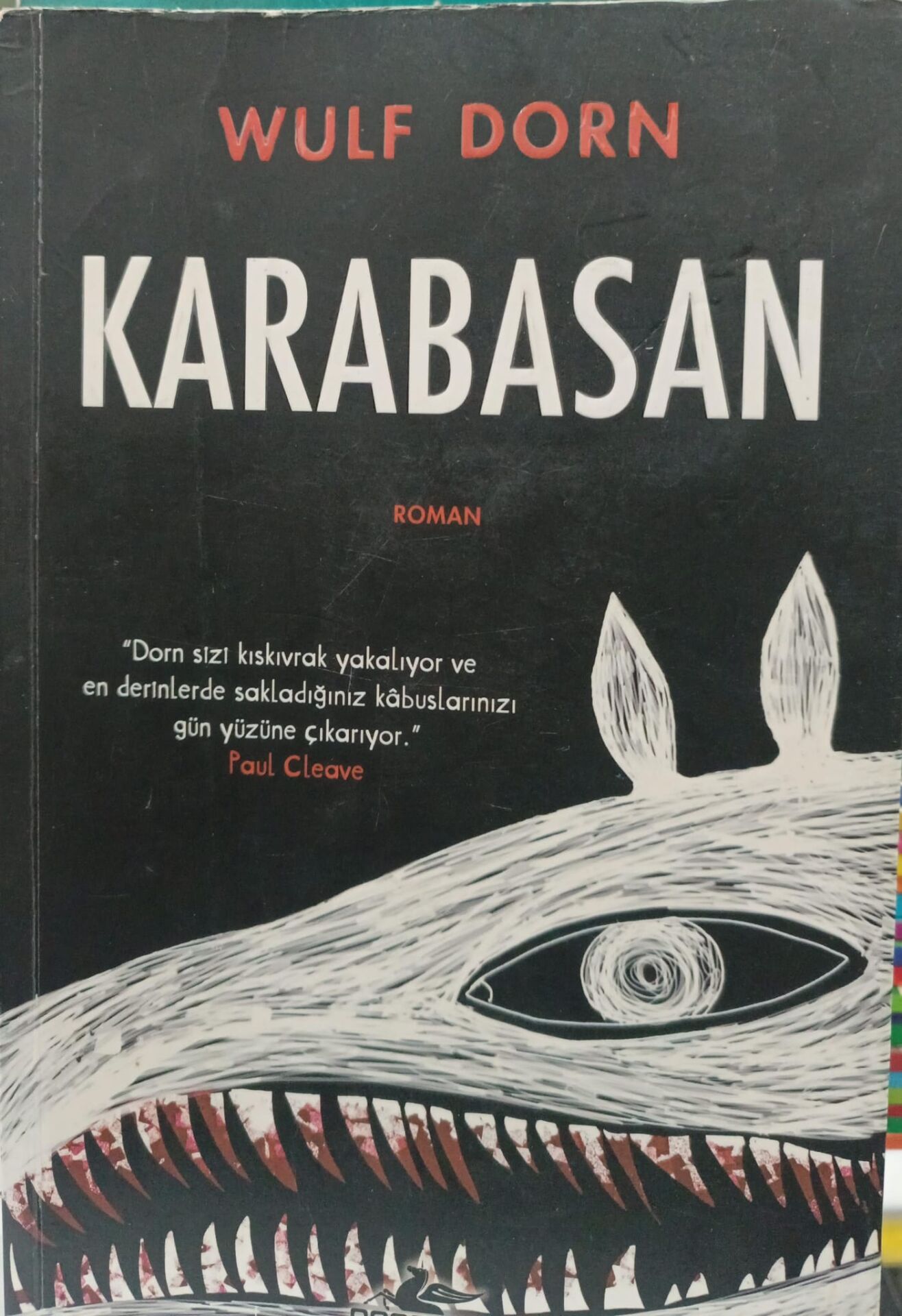 Karabasan - Wulf Dorn