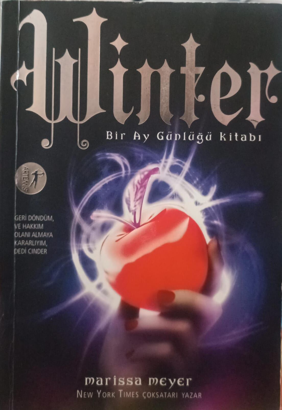 Winter - Bir Ay Günlüğü Kitabı - Dördüncü Kitap