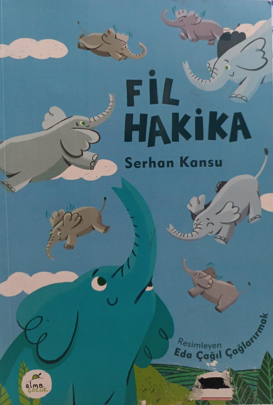 Fil Hakika - Serhan Kansu