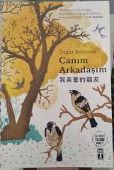 Canım Arkadaşım - Özgür Balpınar