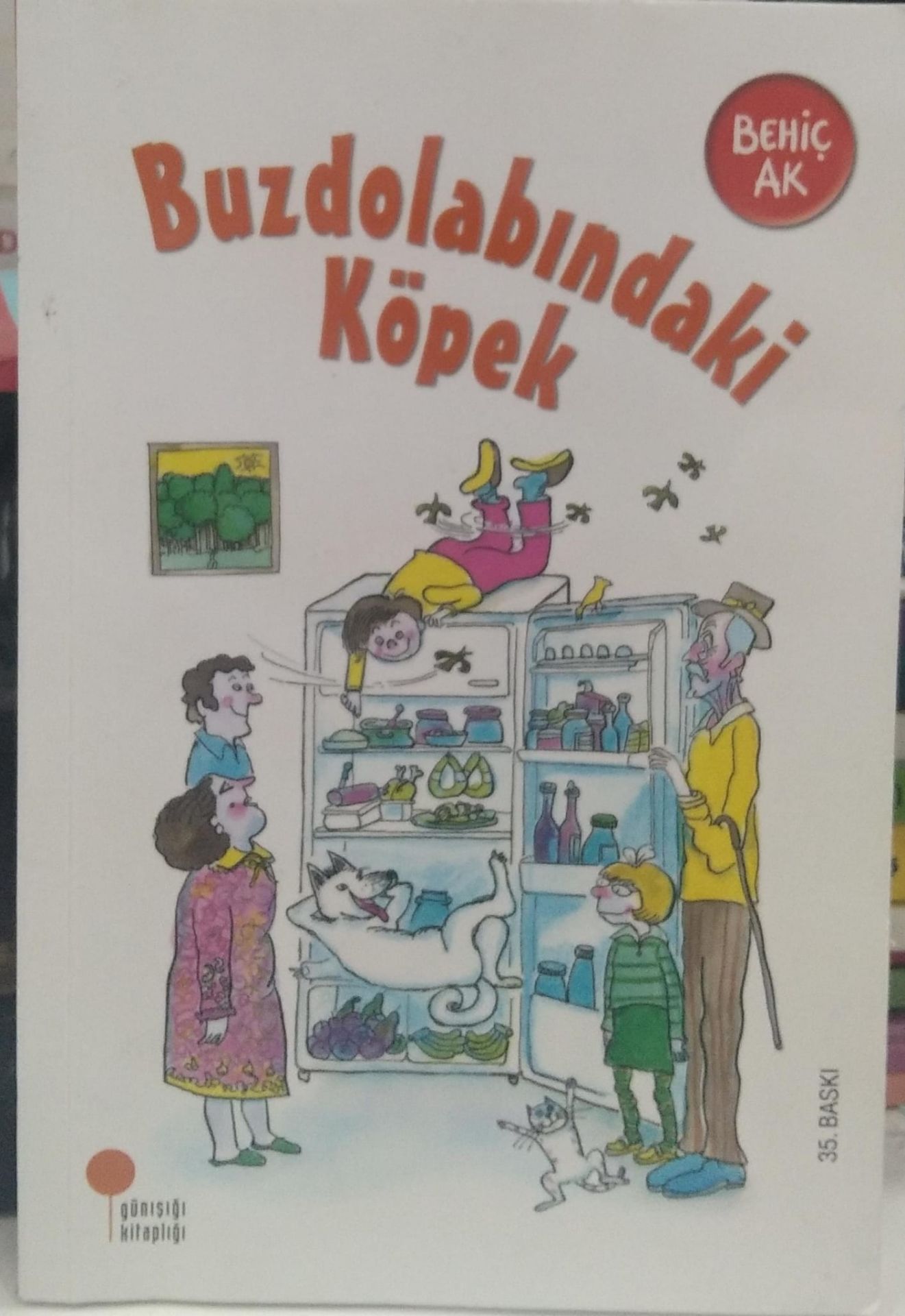 Buzdolabındaki Köpek - Behiç Ak