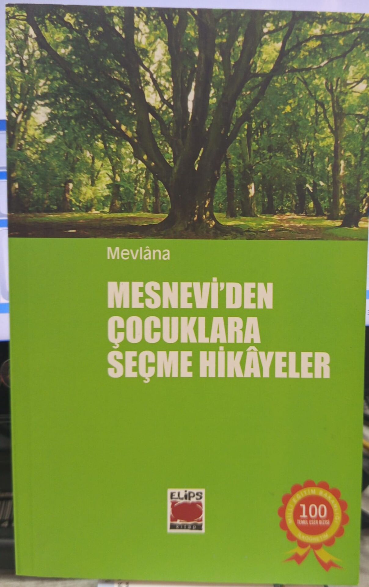 Mesnevi'den Çocuklara Seçme Hikayeler - Mevlana