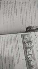 Oxford Discover Workbook 4