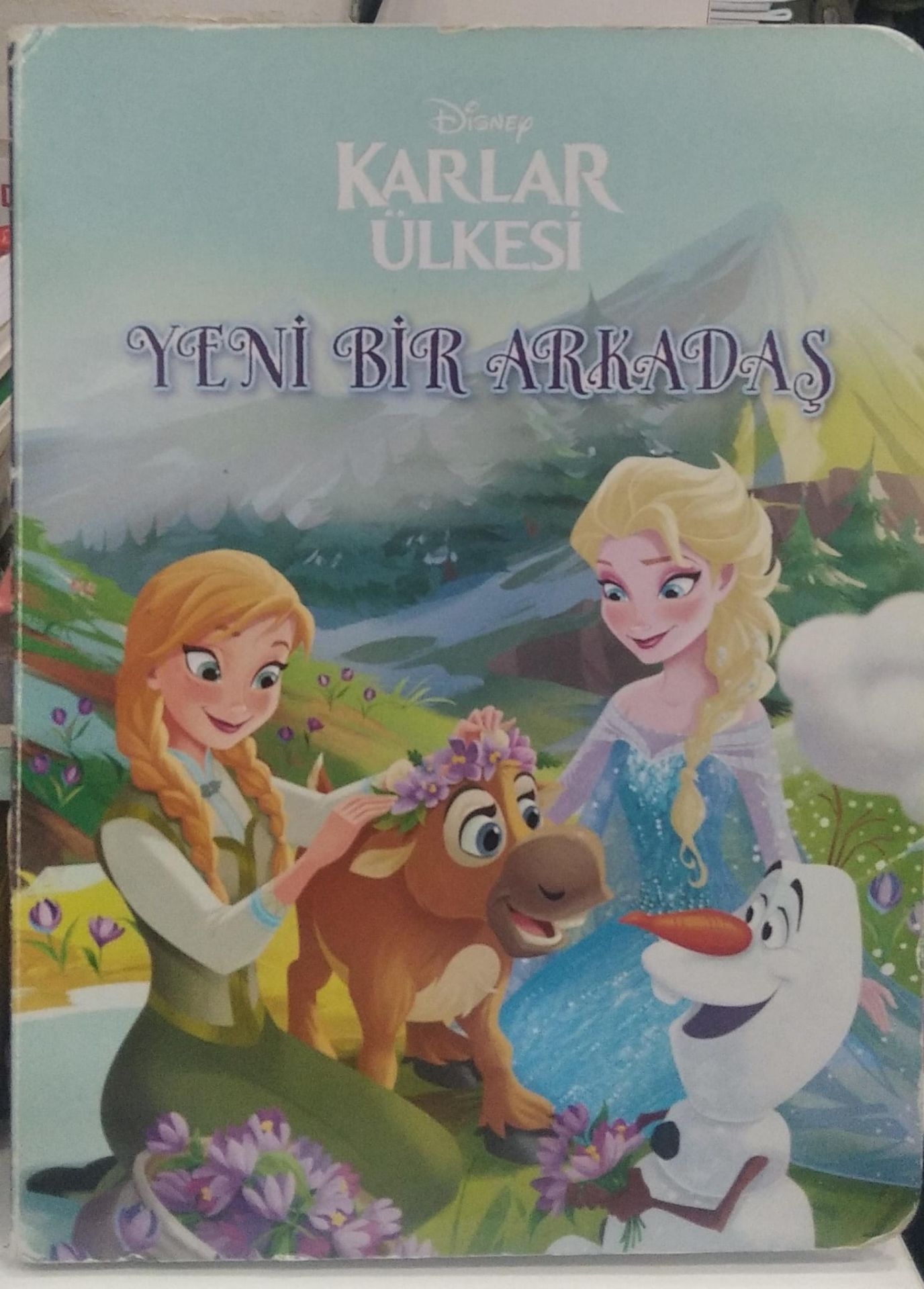 Karlar Ülkesi - Yeni Bir Arkadaş / Kitap
