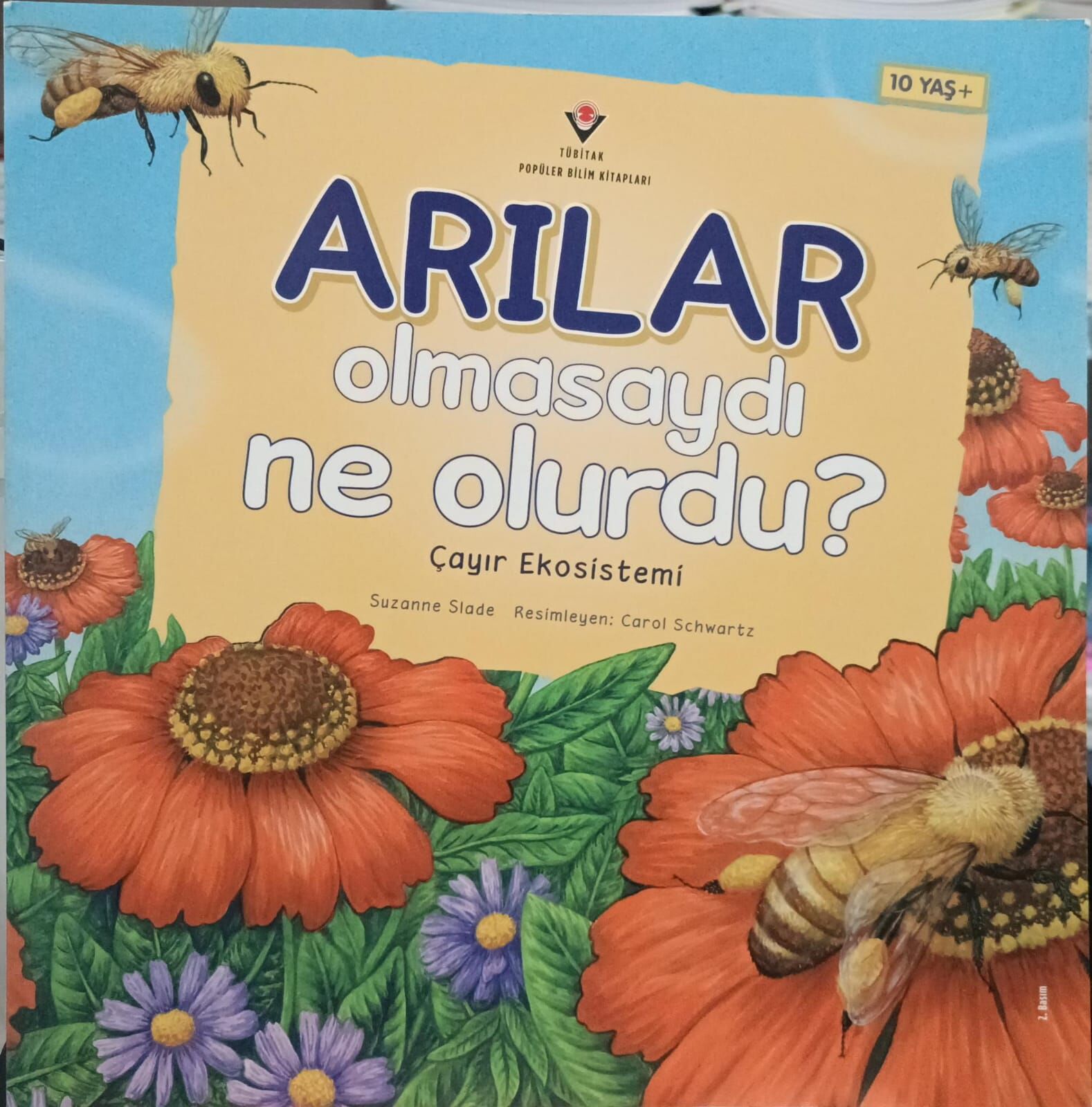 Arılar Olmasaydı Ne Olurdu - Çayır Ekosistemi - Tübitak Yayınları