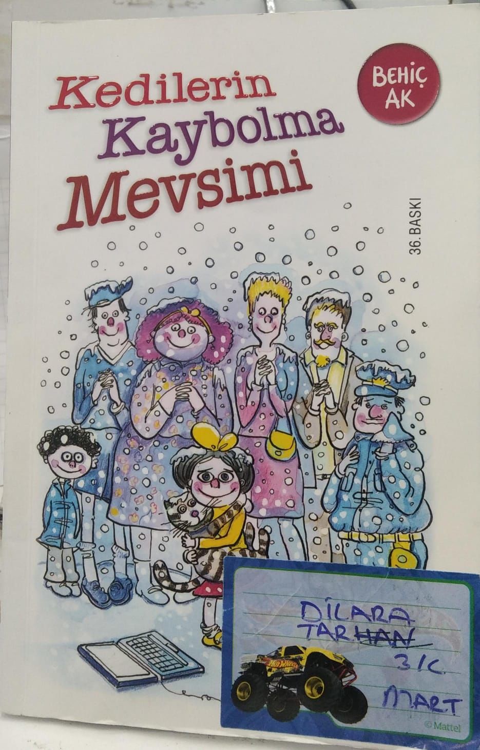 Kedilerin Kaybolma Mevsimi - Behiç Ak