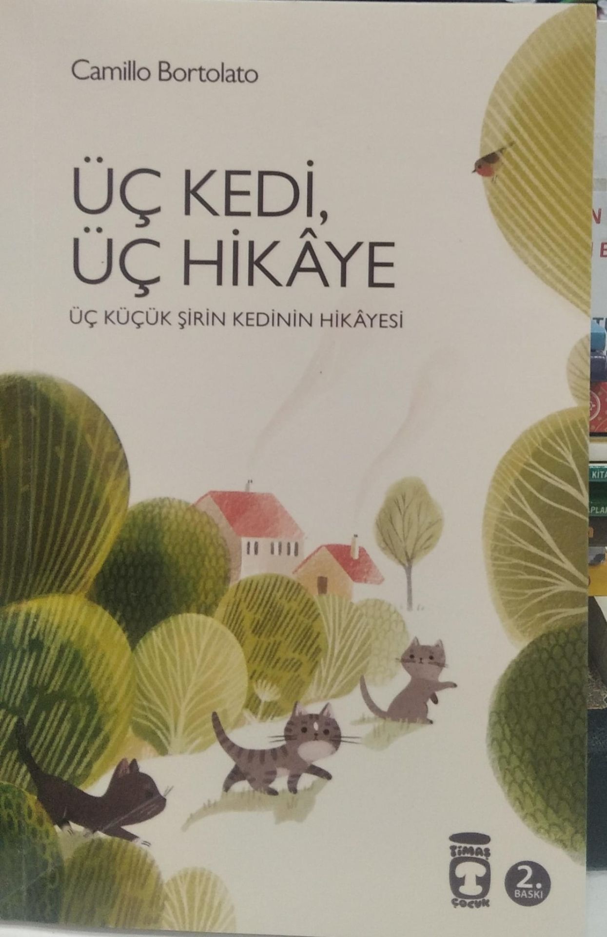Üç Kedi, Üç Hikaye - Camillo Bortolato