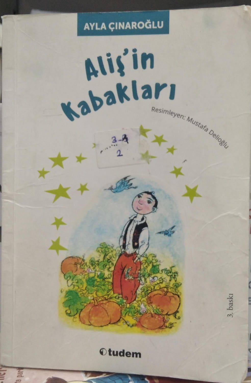 Aliş’in Kabakları - Ayla Çınaroğlu