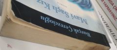Mavi Saçlı Kız - Burçak Çerezcioğlu/ 2EL
