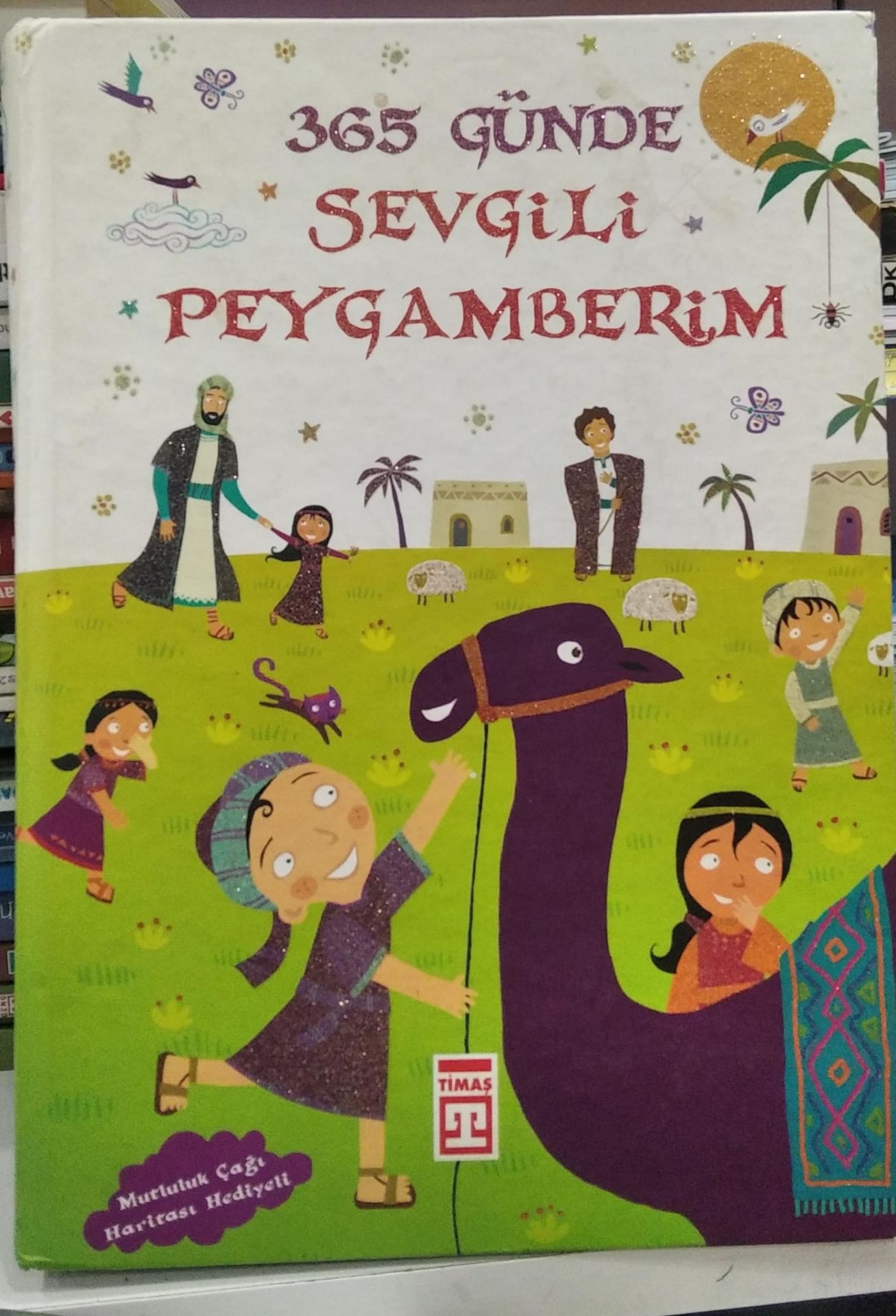 365 Günde Sevgili Peygamberim - Nurdan Damla