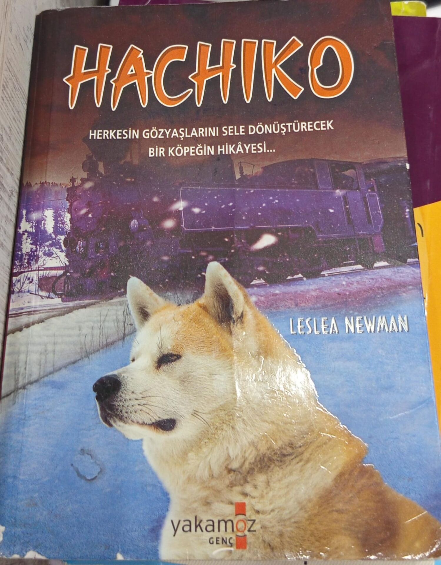 Hachiko - Leslea Newman