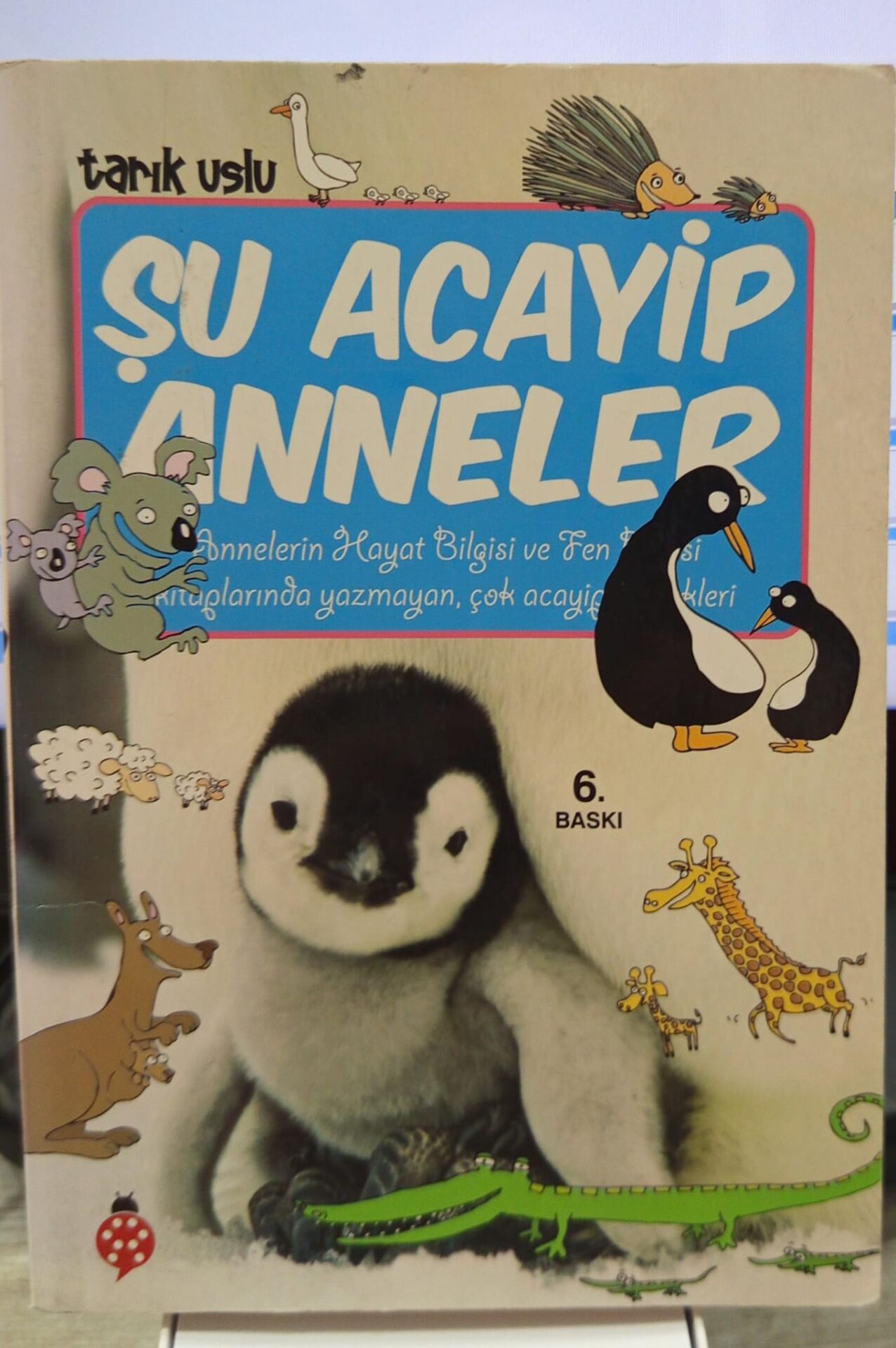 Şu Acayip Anneler - Tarık Uslu