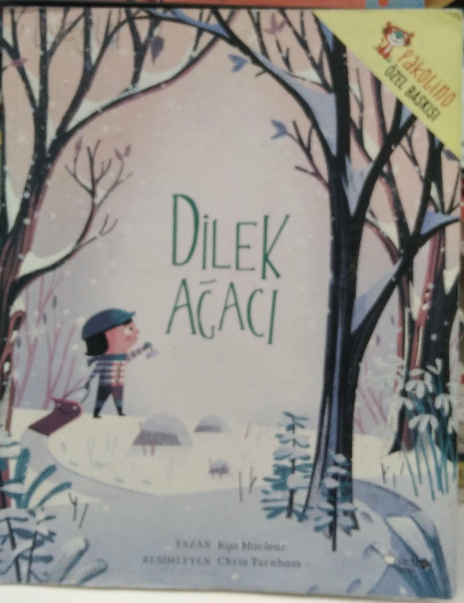 Dilek Ağacı - Kyo Maclear