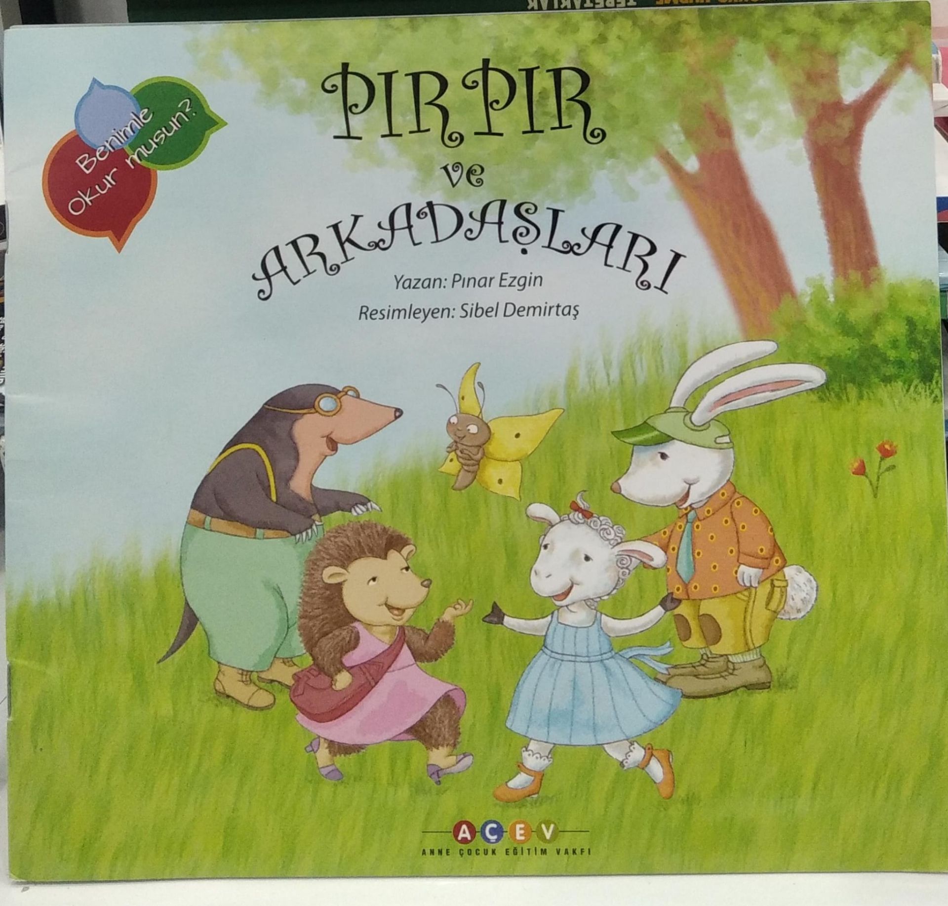 Pırpır ve Arkadaşları - Pınar Ezgin