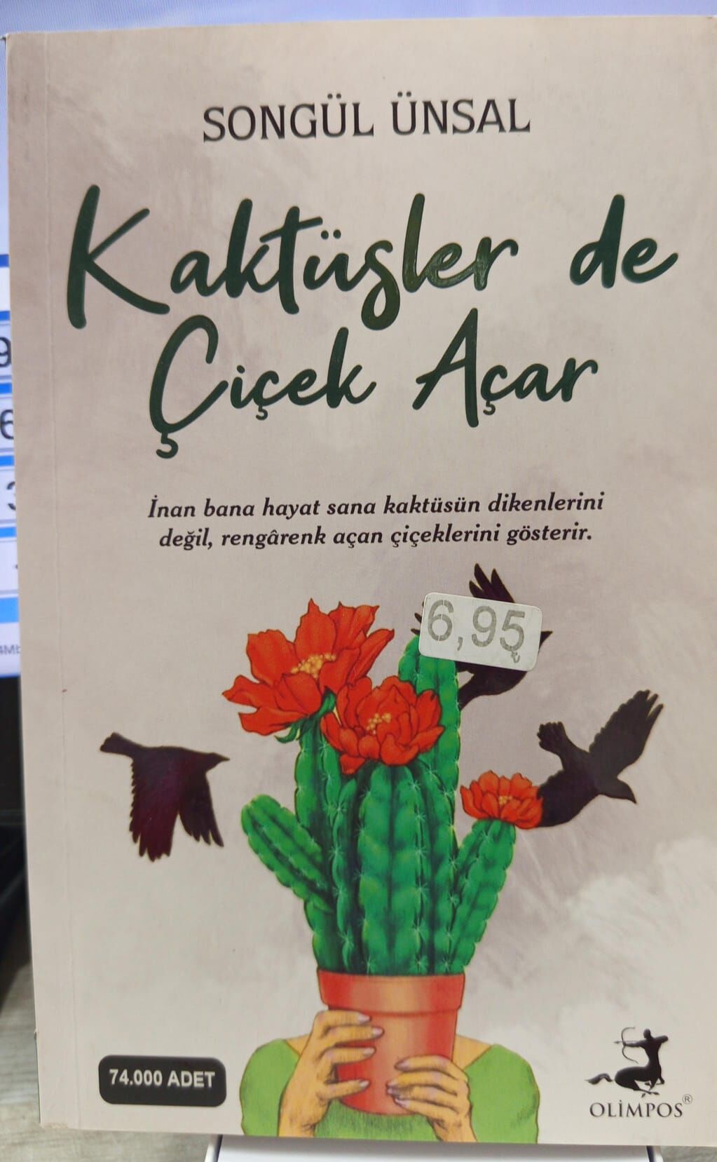 Kaktüsler de Çiçek Açar - Songül Ünsal