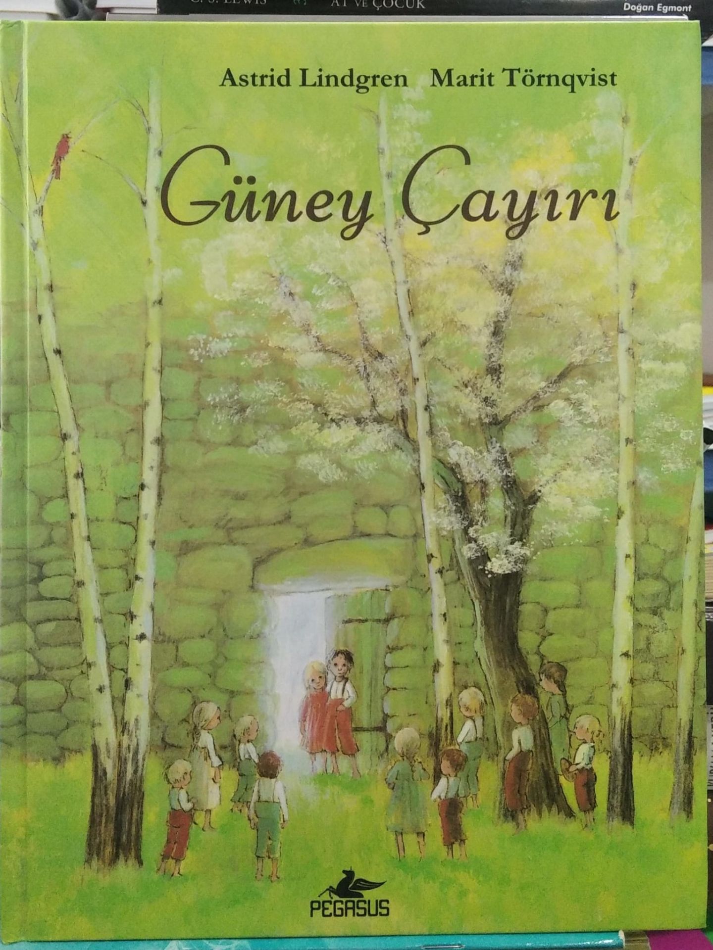 Güney Çayırı -  Astrid Lindgren