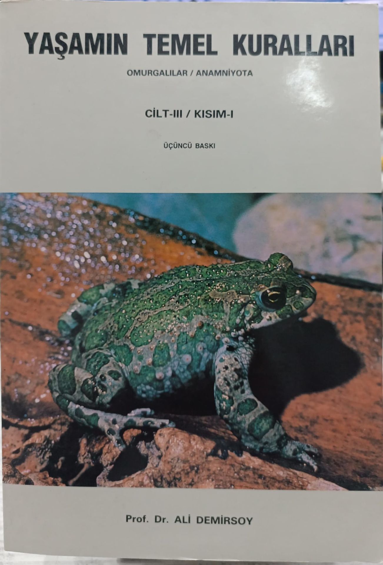Yaşamın Temel Kuralları - Cilt 3 - Kısım 1 - Ali Demirsoy