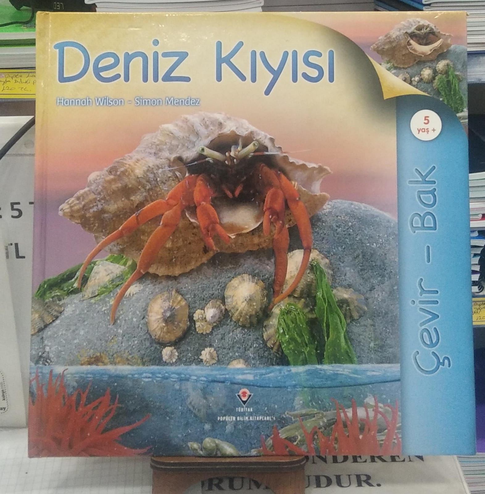 Çevir Bak Deniz Kıyısı  Simon Mendez, Hannah Wilson