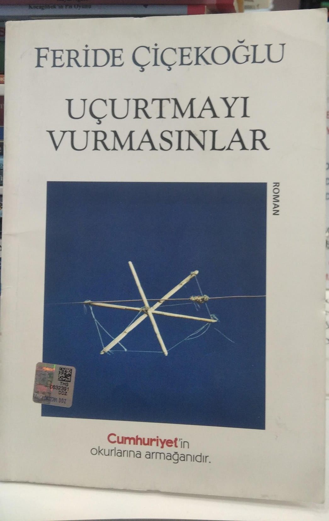 Uçurtmayı Vurmasınlar - Feride Çiçekoğlu