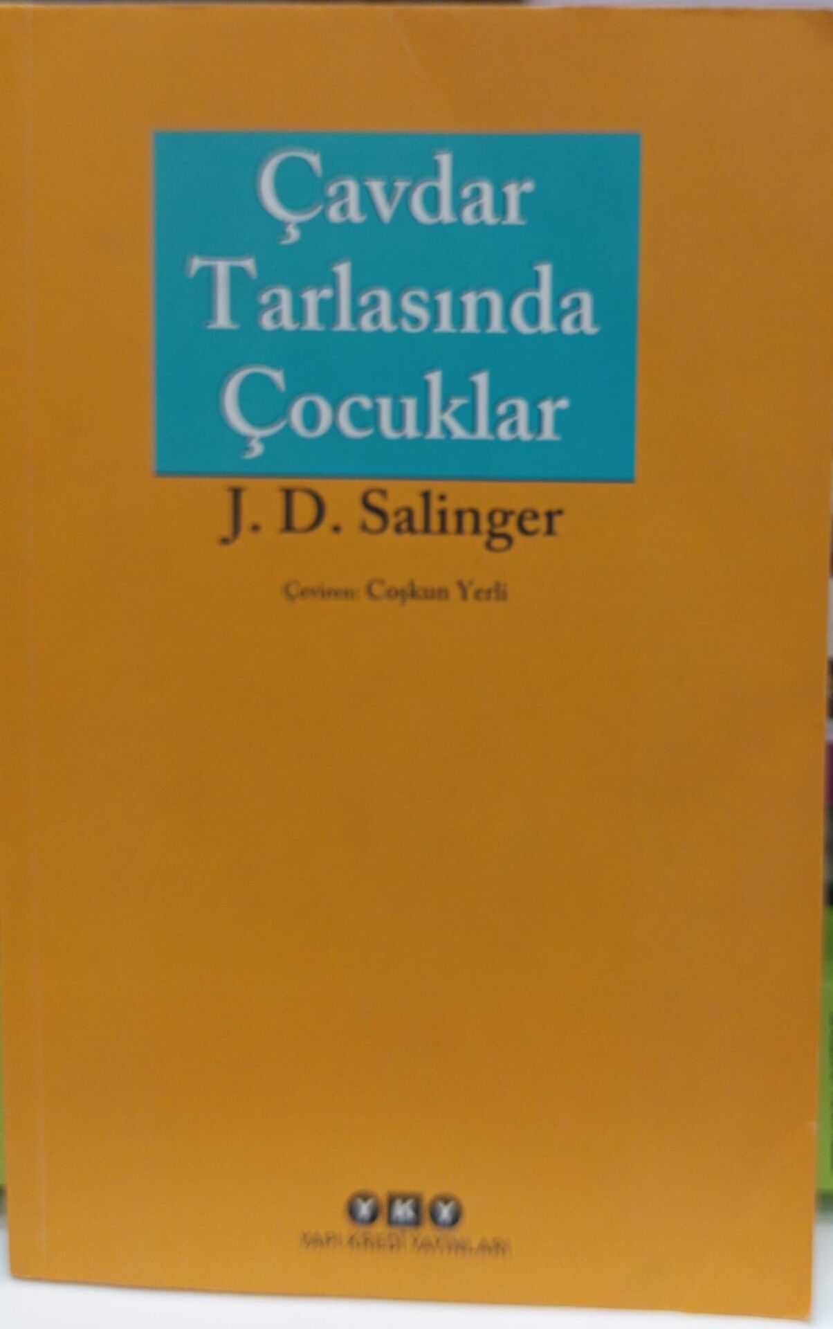 Çavdar Tarlasında Çocuklar - Jerome David Salinger