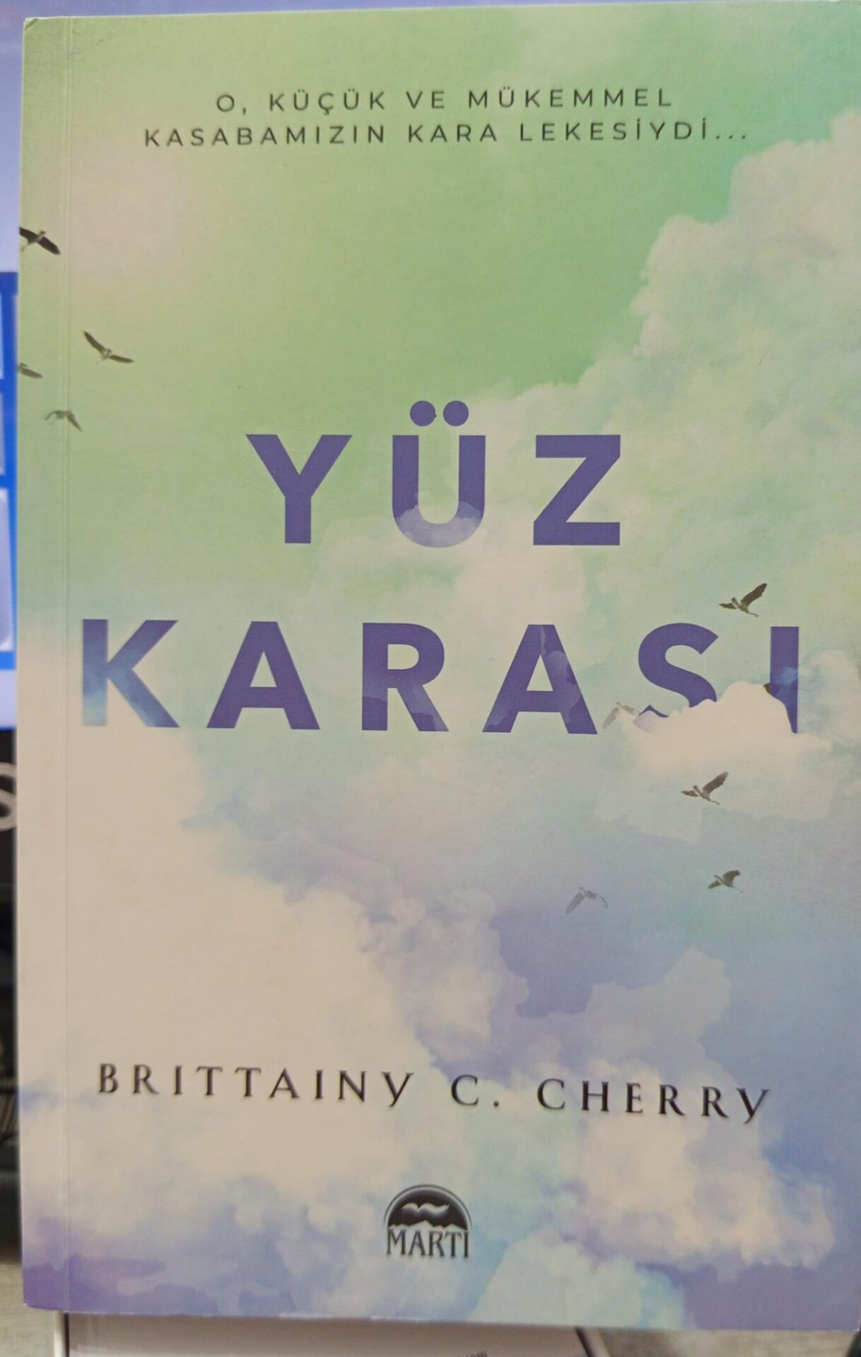 Yüz Karası - Brittainy C. Cherry