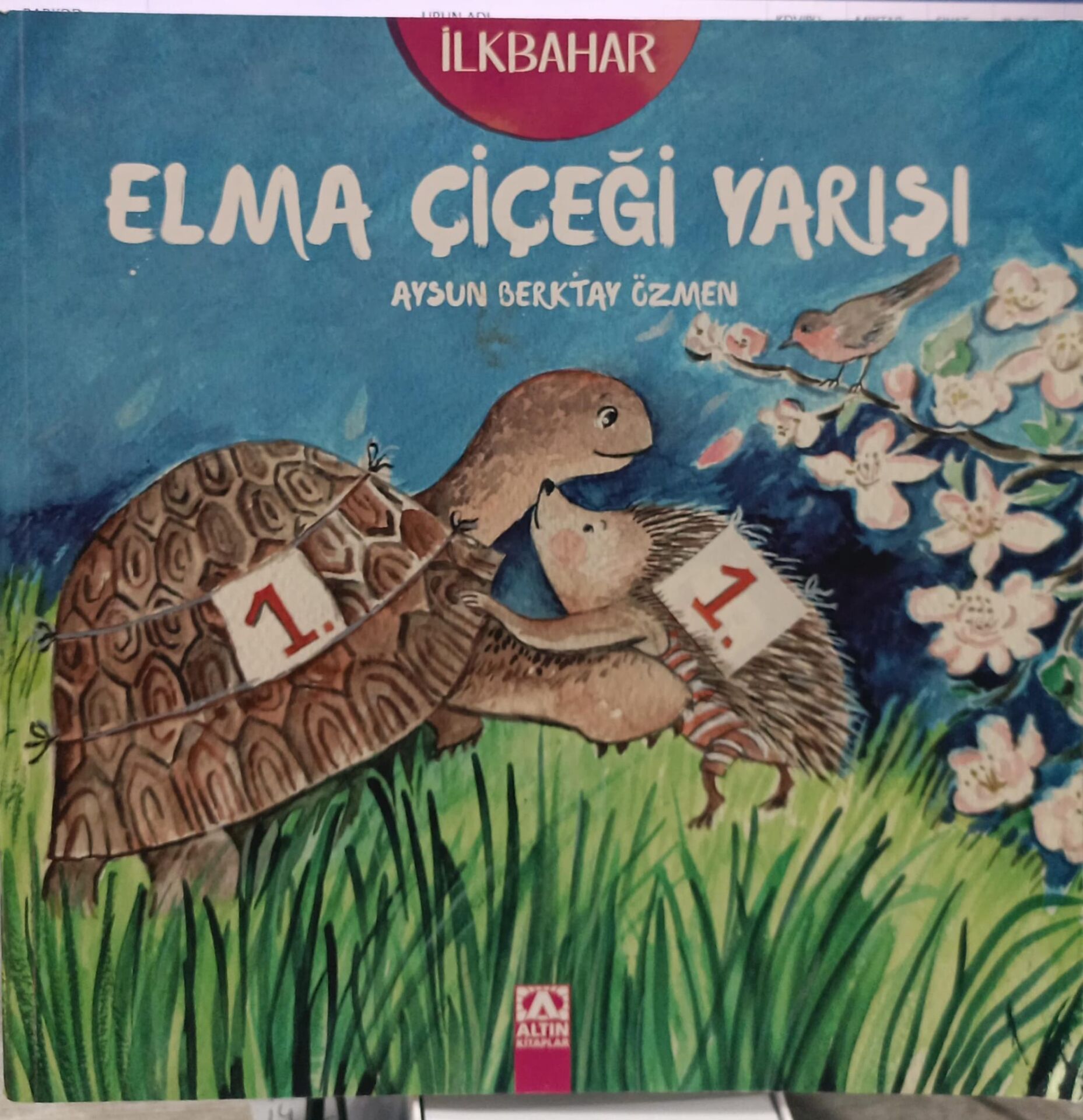 Elma Çiçeği Yarışı - Aysun Berktay Özmen