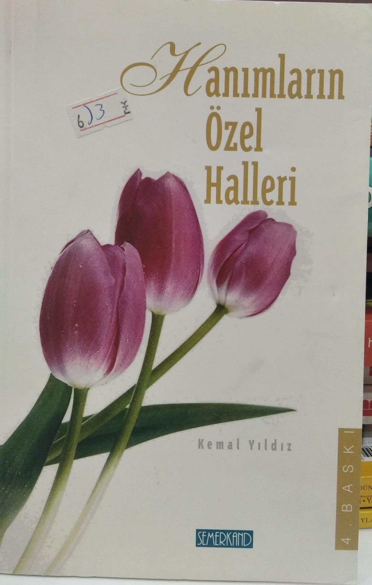 Hanımların Özel Halleri - Kemal Yıldız