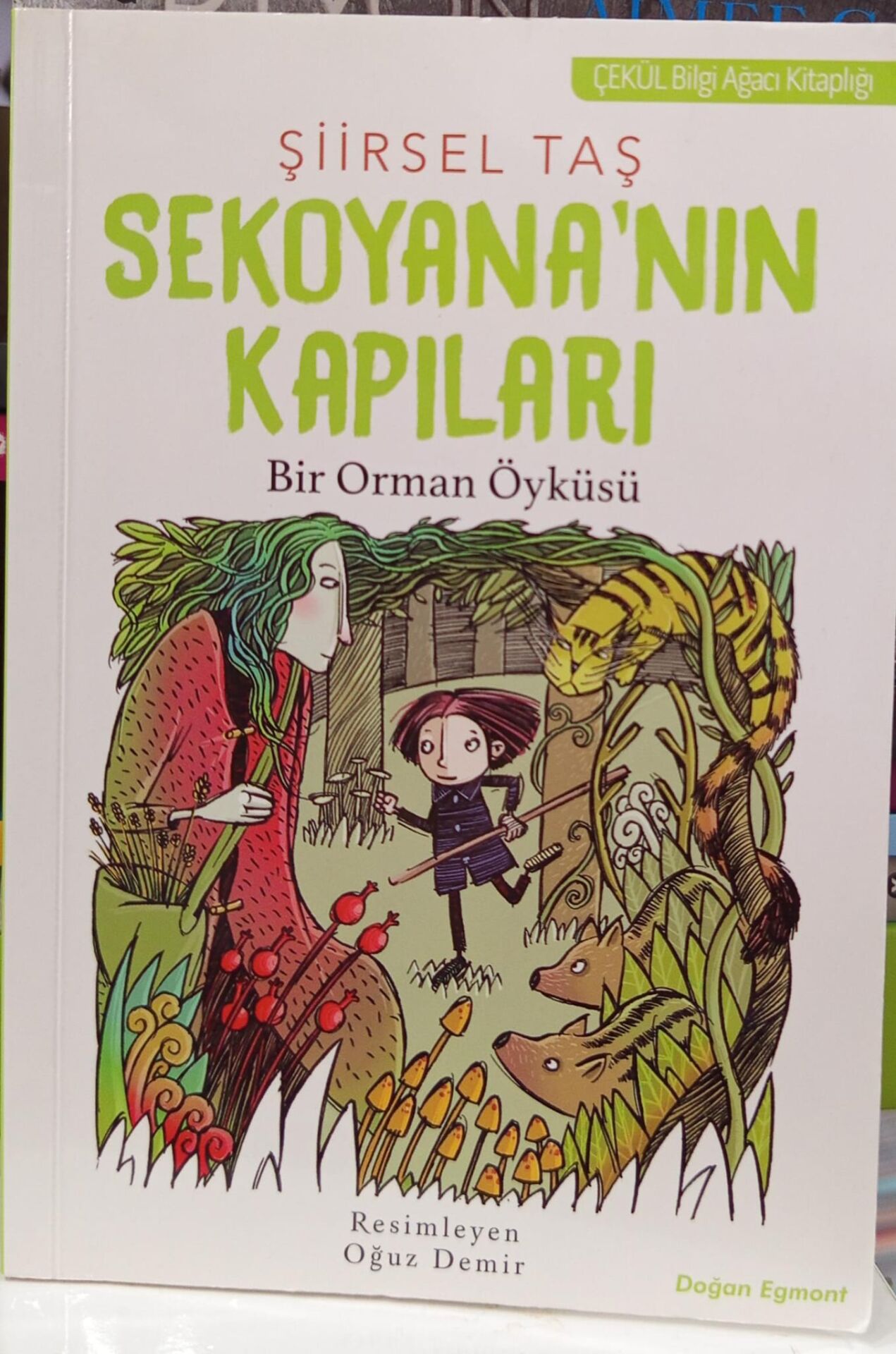 Sekoyana’nın Kapıları - Şiirsel Taş