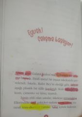 Galata'nın Tembel Martısı - Behiç Ak