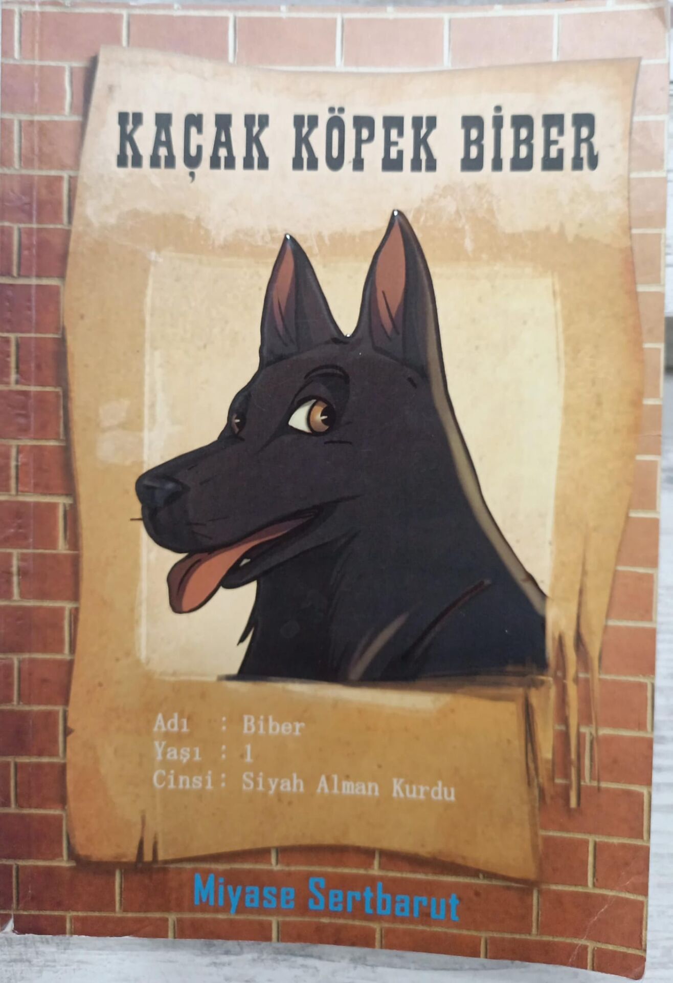 Kaçak Köpek Biber - Miyase Sertbarut