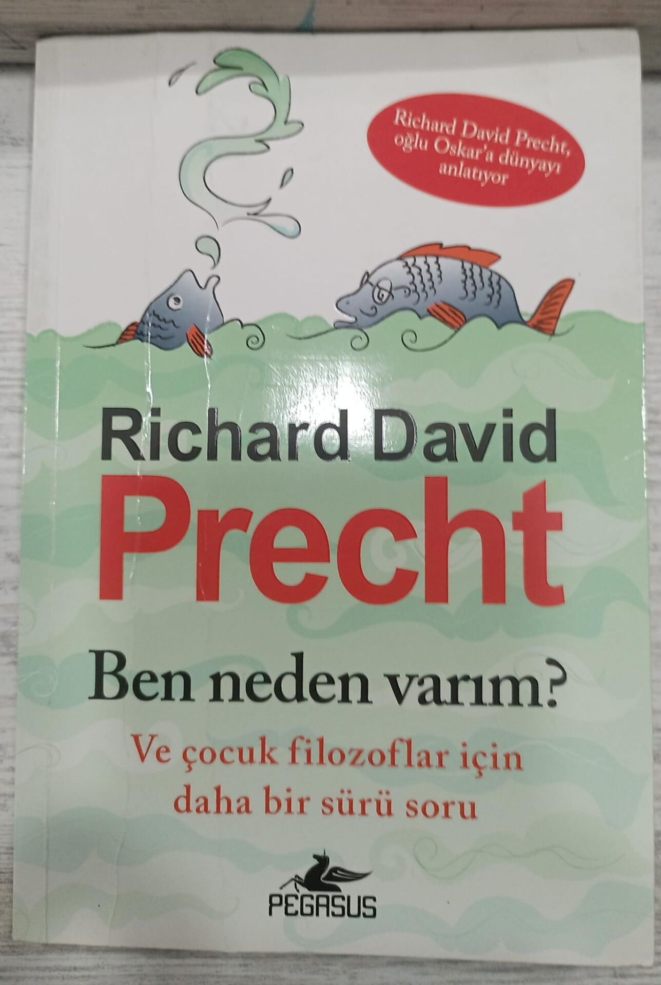 Ben Neden Varım? Ve Çocuk Filozoflar İçin Daha Bir Sürü Soru