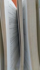 Differential Equations - Shepley L. Ross