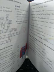 Cambridge - Science Skills 4 Activity Book