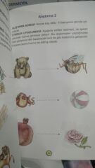 Çocuklar İçin Anlayarak Hızlı Okuma - Öznur Karaeloğlu