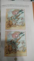 Çocuklar İçin Anlayarak Hızlı Okuma - Öznur Karaeloğlu