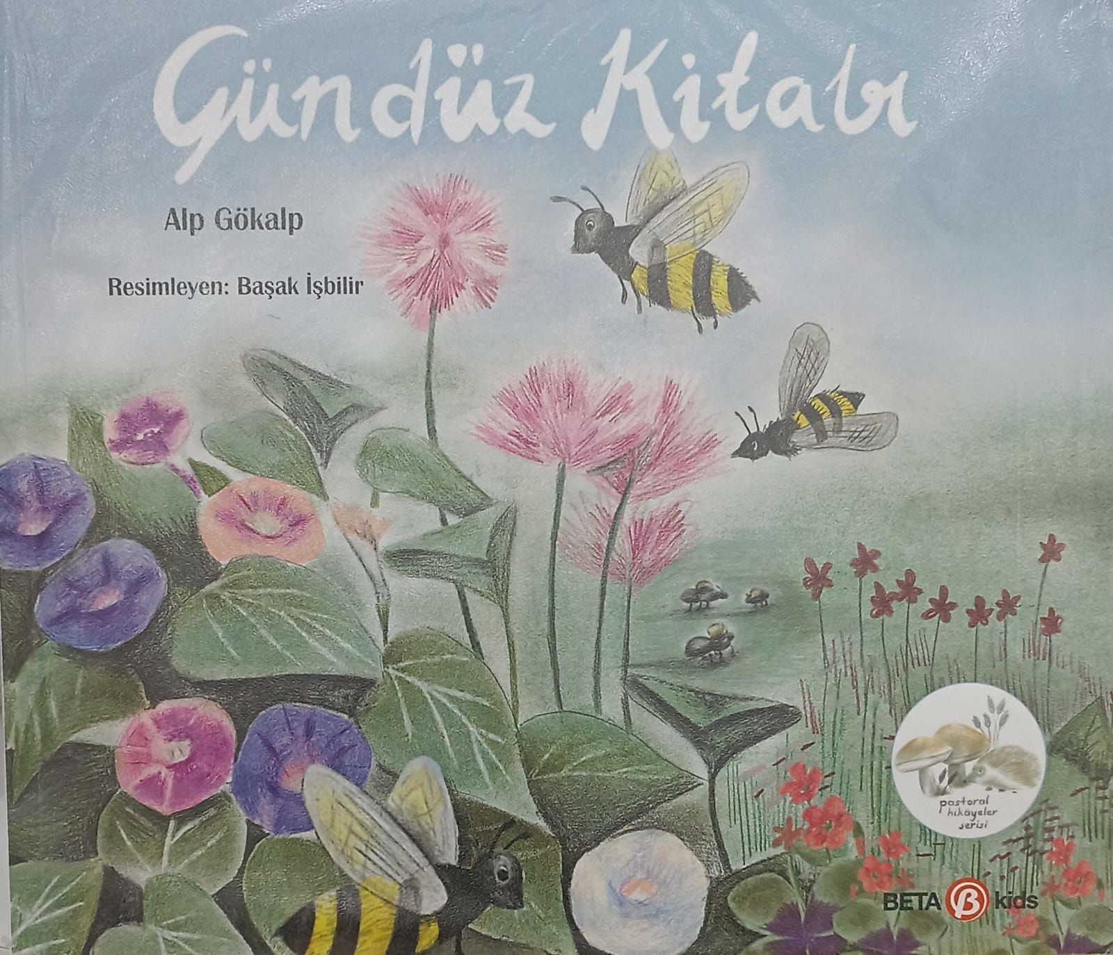 Gündüz Kitabı - Gece Kitabı - Alp Gökalp