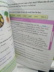 Big Science 4 Student Book