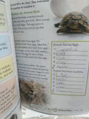 BIG SCIENCE 4 - STUDENT BOOK