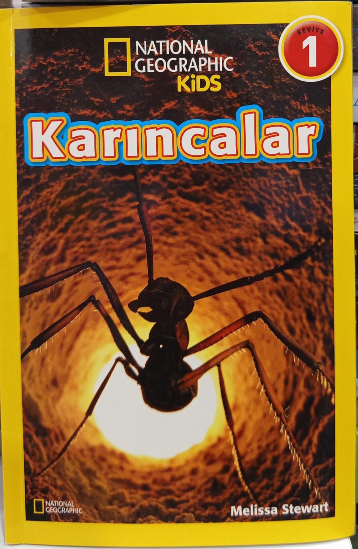 Karıncalar -  Melissa Stewart
