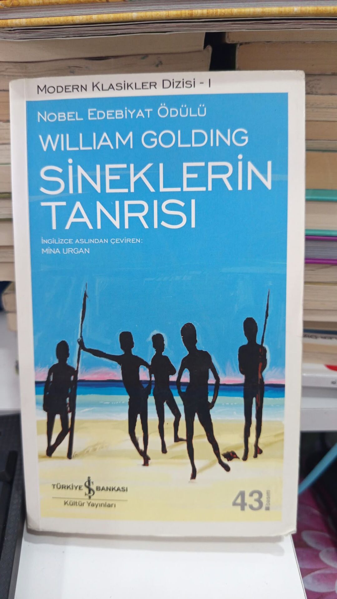 Sineklerin Tanrısı - William Golding