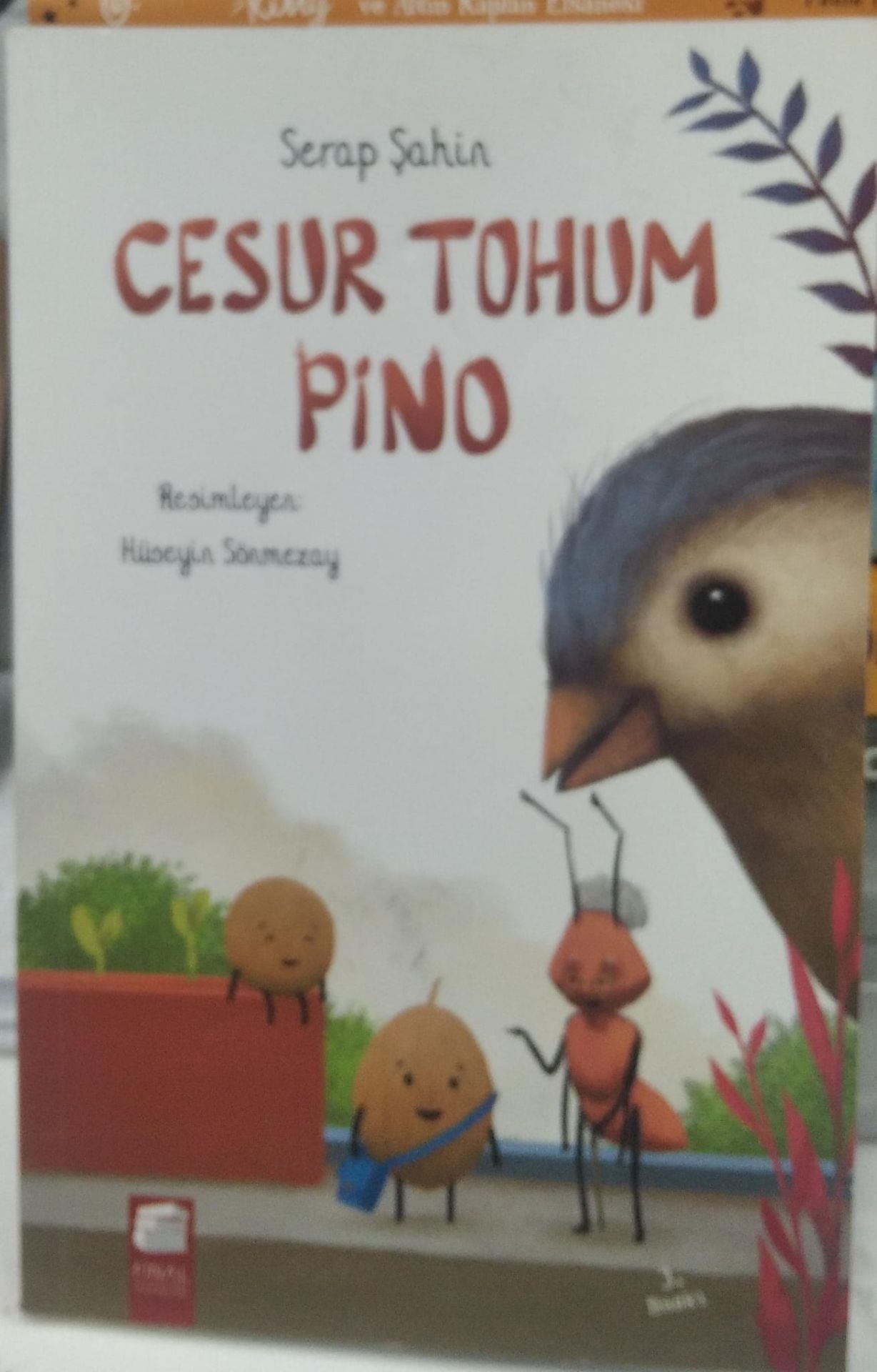 Cesur Tohum Pino - Serap Şahin