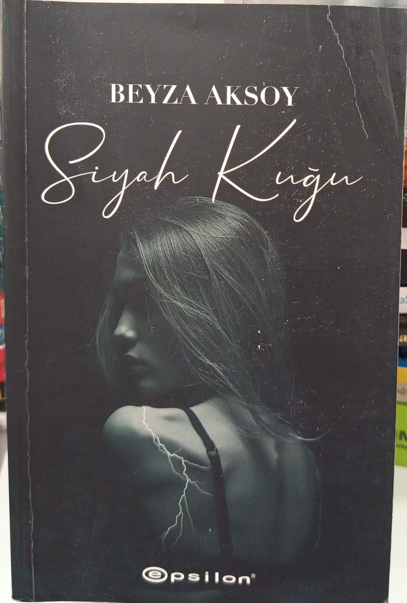 Siyah Kuğu 1  - Beyza Aksoy