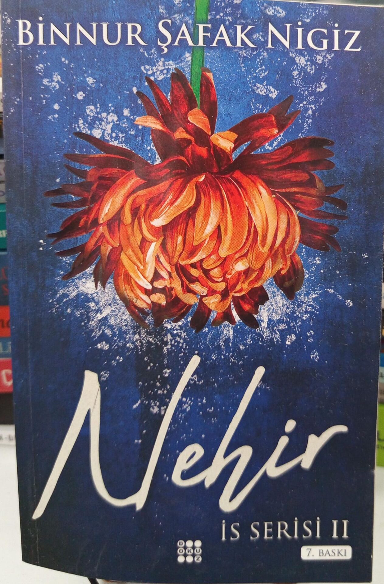 Nehir-İs Serisi 2 - Binnur Şafak Nigiz