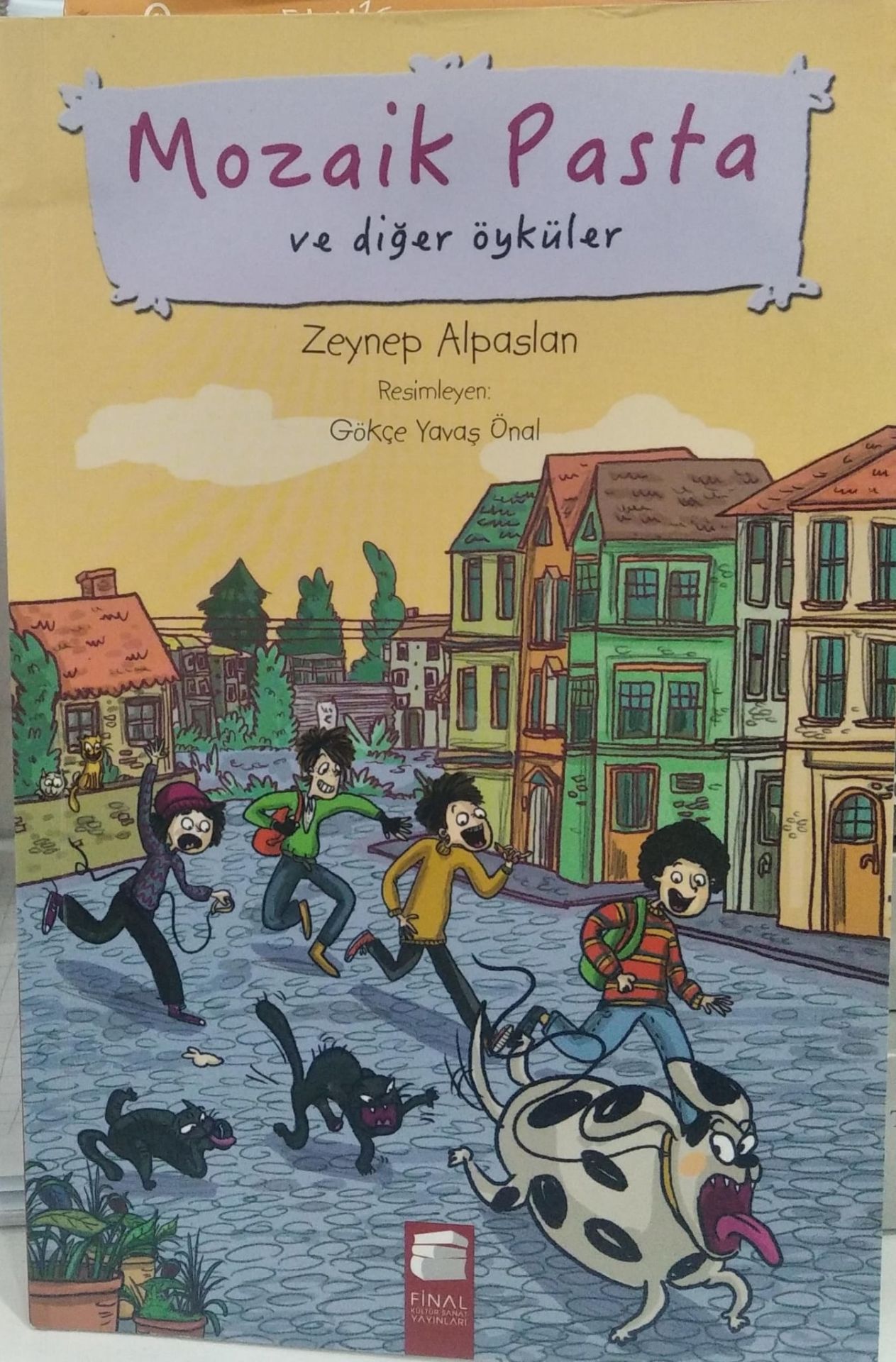 Mozaik Pasta ve Diğer Öyküler - Zeynep Alpaslan