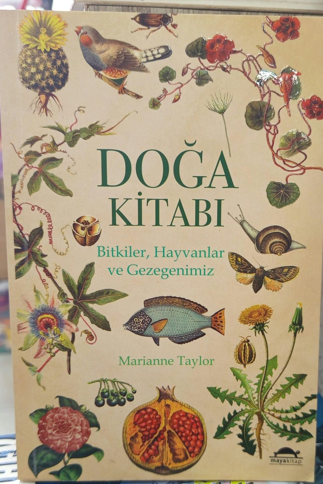 Doğa Kitabı - Bitkiler, Hayvanlar ve Gezegenimiz