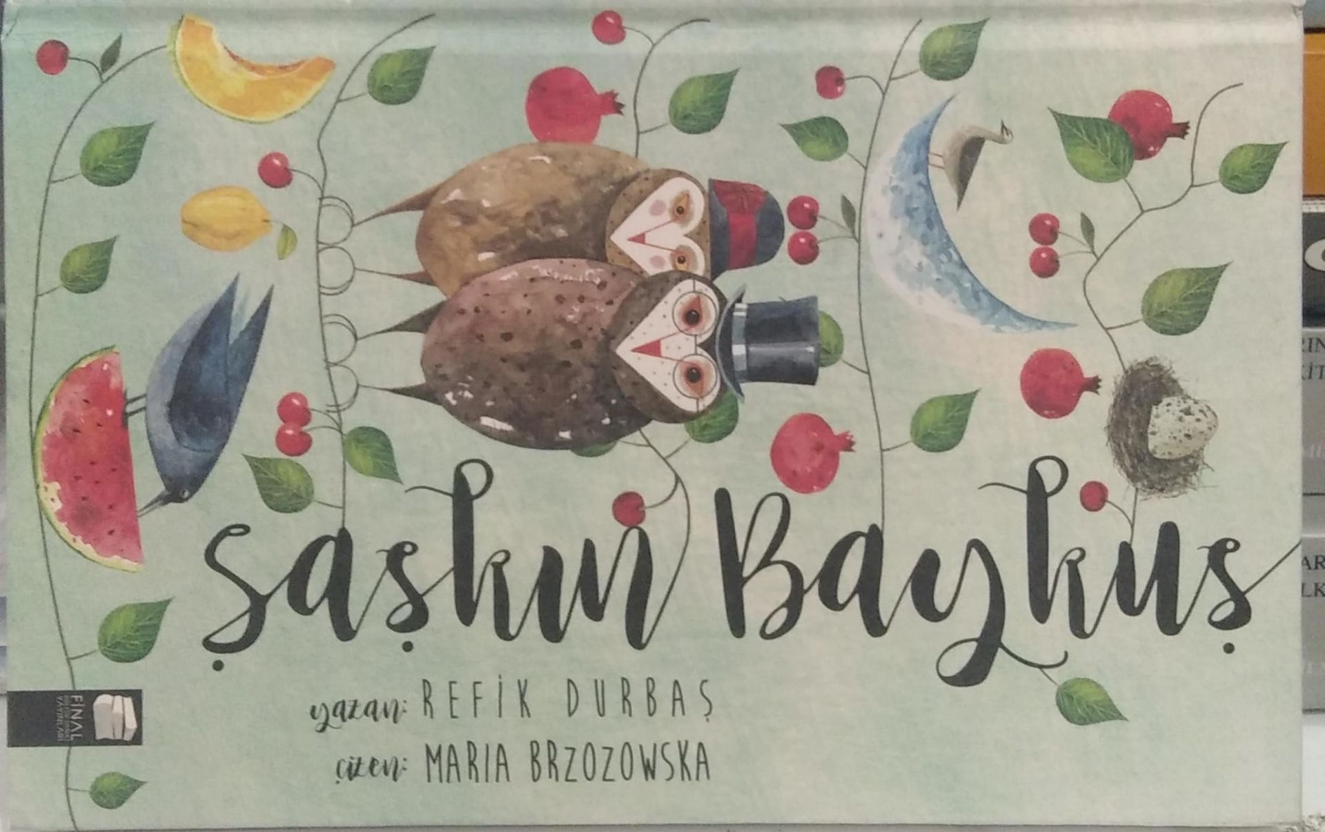 Şaşkın Baykuş - Refik Durbaş