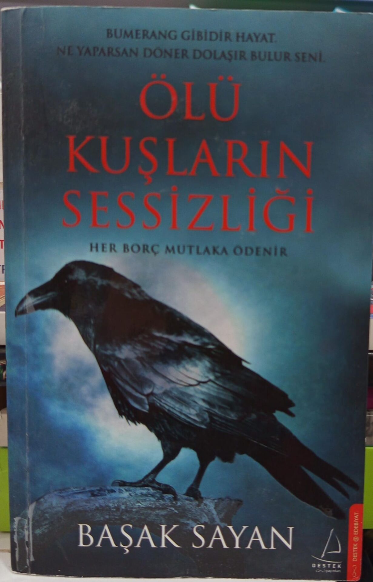 Ölü Kuşların Sessizliği - Başak Sayan