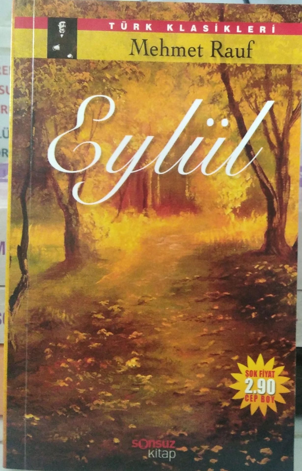 Eylül- Mehmet Rauf-2.EL