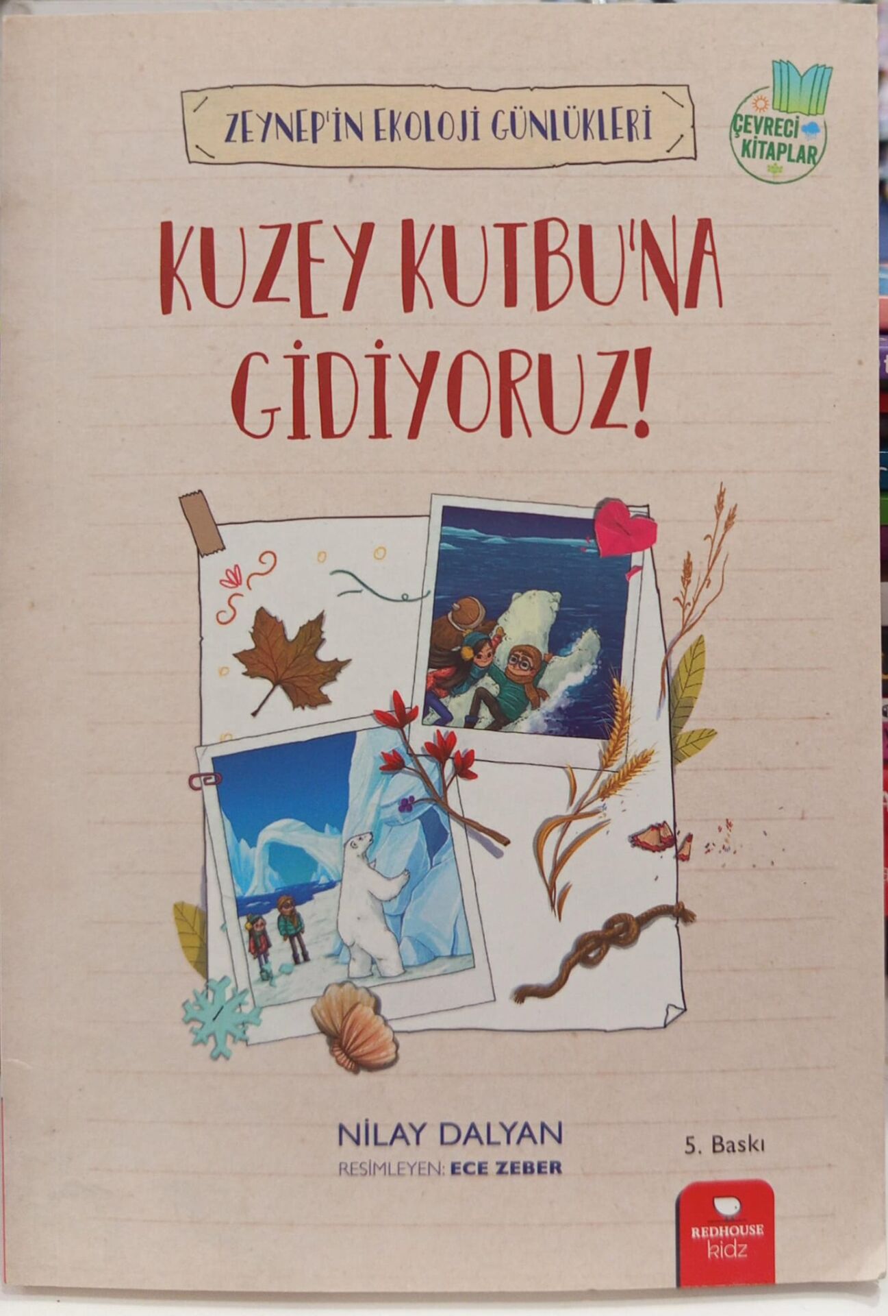 Kuzey Kutbuna Gidiyoruz! Zeynep'in Ekoloji Günlük - Nilay Dalyan